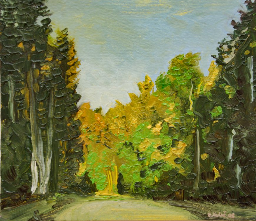 2008 — (16) (1) Ve Včelném, A,O,S, cca.20x25cm